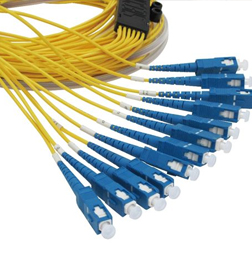 ���w�����aƷ3