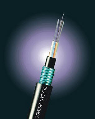 �L�wGYTS53�؄P���|