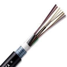 8оGYTA��ģ���|-�L�w8о���w-�L�w8о���|