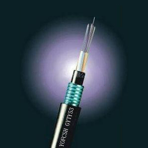 24оGYTY53��ģ���w-�L�w24о���|�r��