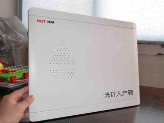 ���w�ˑ���