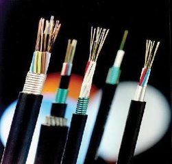 �����ģ���w-288о���w