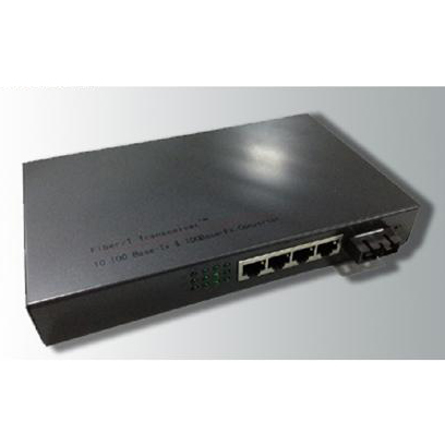 2��4�100M���w�հl��