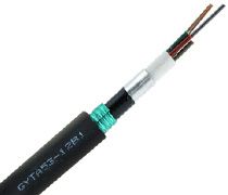 12оGYTA53������|